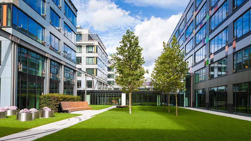 Hausbetreuung - Moderner Büropark mit grünem Rasen, Bäumen und Bank